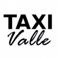 Noleggio con Conducente Taxi Valle logo