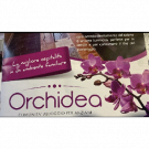 Orchidea Due Comunita' Alloggio per Anziani