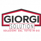 Giorgi Solution