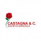 Società Agricola Castagna