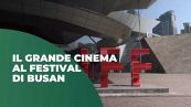 Arriva Avatar 4, l'annuncio al Busan film festival