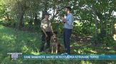 Droni e cani molecolari: ecco il lavoro del pet detective