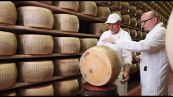 Parmigiano Reggiano, cresce la montagna: oltre il 22% delle forme