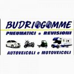 Budrio Gomme