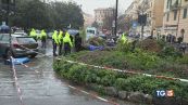 Genova, donna muore schiacciata da palma