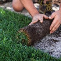 Irrigazione giardini e parchi a Modena - Giardiniere Modena