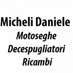 Micheli Daniele Motoseghe - Decespugliatori - Ricambi