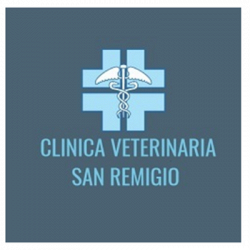 Clinica Veterinaria S. Remigio logo