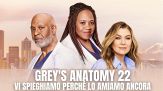 Grey's Anatomy non stanca mai, disponibile la 22esima stagione: come e dove vederla