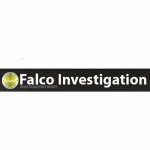 Falco Investigation