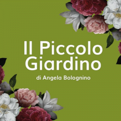 Il Piccolo Giardino Angela Bolognino logo