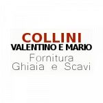 Collini Valentino E Mario