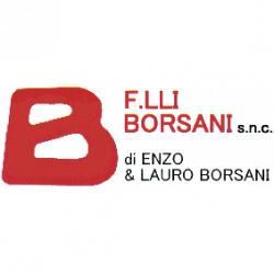 Fratelli Borsani logo