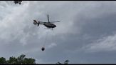 Nuovo rogo a Roma nella riserva di Monte Mario, sotto controllo