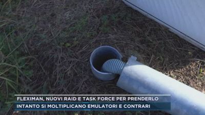 Fleximan, nuovi raid e task force per prenderlo
