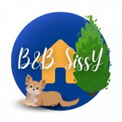 B&B SISSY logo