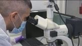 Dna maschile ignoto trovato nella bocca di Chiara Poggi