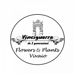 Vivaio Vinciguerra Flowers