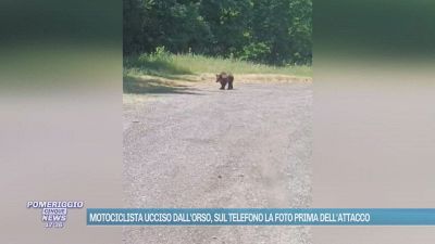 Motociclista ucciso dall'orso, sul telefono la foto prima dell'attacco