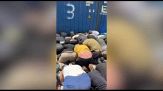 Ben Gvir mostra in video attivisti Flotilla legati e in ginocchio