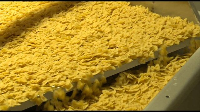 Filiera della pasta: il legame tra ricerca, industria e tecnologia