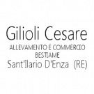 Commercio e Allevamento Cesare Gilioli