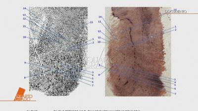 Garlasco: il giallo dell'impronta 33