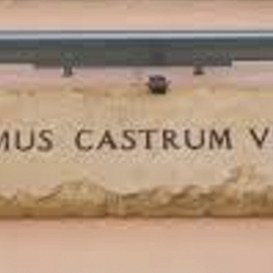 Domus Bed and Breakfast logo
