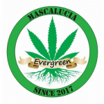 Evergreen Grow Shop