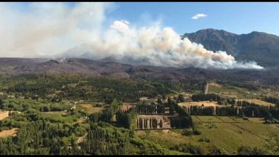 Argentina, incendio in Patagonia: 2.000 ettari di foresta distrutti