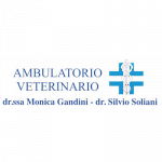 Ambulatorio Veterinario Associato Gandini e Soliani