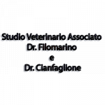 Medico Veterinario Dott.ssa Gigliola Filomarino c/o la struttura Vet4Pet