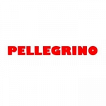 Pellegrino Domenico