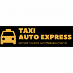 Taxi Auto Express