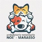 Ambulatorio Veterinario Associato Noe' Marasso