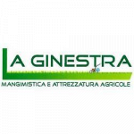 La Ginestra - Borzì Antonino