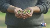 Gusto DiVino: Crescono le aziende sostenibili