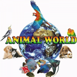 Animal World Pet House