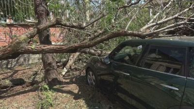 Tromba d'aria e grandine, Cremona devastata dalla "supercella"
