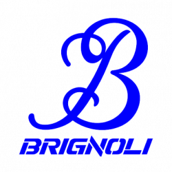 Brignoli Trasporti logo
