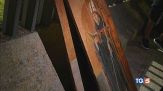 "Venite, in strada ci sono quadri rubati"