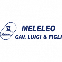 Agenzia Funebre Meleleo logo