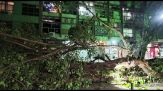 Rio de Janeiro, raffiche di vento a oltre cento all'ora: cinque morti