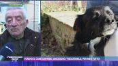 Tonino il cane conteso, Angiolino: "Ridatemelo, per me è tutto"