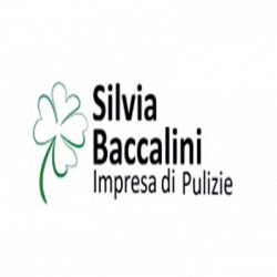 Impresa di pulizie Silvia Baccalini logo