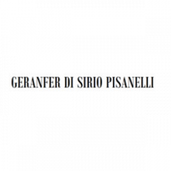 Autodemolizione Sirio Pisanelli logo