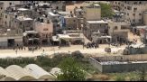 Palestinesi allineati in fila dall'esercito israeliano in Cisgiordania
