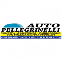 Autopellegrinelli logo