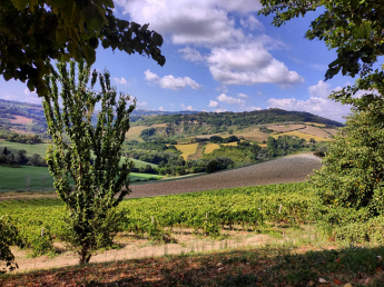 Agriturismo il Sentiero - Vista  panoramica