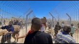 Gaza lotta contro fame e raid, Onu: 1.373 morti mentre cercavano cibo
